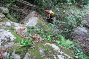 R4 - Salt de la Freixedella - Falgars d'en Bas - RocJumper