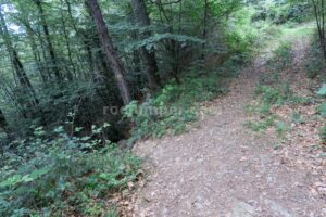 Sendero Retorno - Salt de la Freixedella - Falgars d'en Bas - RocJumper