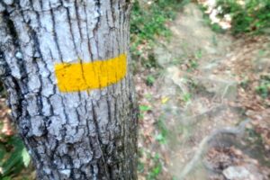 Marca Amarilla Sendero - Sallent de la Batllia - Falgars d'en Bas - RocJumper