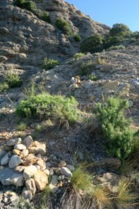 Caminando - Vía Ferrata Mallo de la Mora - Peña Rueba - Murillo de Gallego - RocJumper