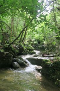 Destrepes - Sallent de Bertrans - Falgars d'en Bas - RocJumper