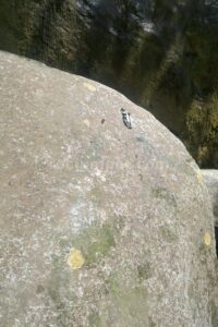 R7' - Barranco del Sein - San Juan de Plan - RocJumper