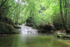 Destrepes - Sallent de Bertrans - Falgars d'en Bas - RocJumper