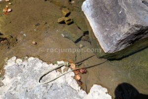 Puente de roca - Barranco Gabieto - Bujaruelo - RocJumper