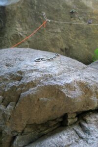 R4' - Barranco Urdiceto - Parzán - RocJumper