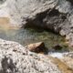 051 Barranco Gabieto Bujaruelo Rocjumper