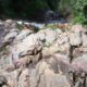 080 Barranco Gabieto Bujaruelo Rocjumper