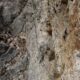 036 Via Ferrata Cistierna Cueva Elefante Rocjumper