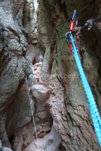 Puente Nepalí 3 - Tramo Intermedio - Vía Ferrata La Pasarela Espeja - Espeja de San Marcelino - RocJumper