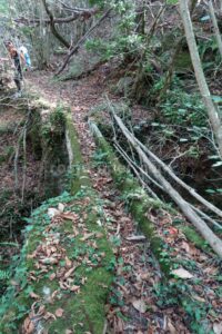 Puente - Barranco Fou de Manyaques - Le Tech - RocJumper