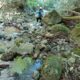 011 Barranco Fou Manyaques Tech Rocjumper
