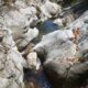 017 Barranco Fou Manyaques Tech Rocjumper