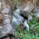 044 Barranco Fou Manyaques Tech Rocjumper