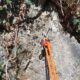 048 Barranco Fou Manyaques Tech Rocjumper
