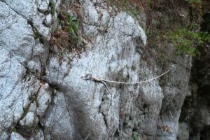 R9 - Barranco Fou de Manyaques - Le Tech - RocJumper