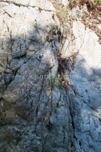 R11 - Barranco Fou de Manyaques - Le Tech - RocJumper
