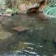 071 Barranco Fou Manyaques Tech Rocjumper