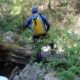074 Barranco Fou Manyaques Tech Rocjumper