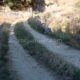 082 Barranco Fou Manyaques Tech Rocjumper
