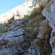 017 Via Ferrata Flores Lagunas Arbas Cubillas Rocjumper