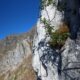 044 Via Ferrata Flores Lagunas Arbas Cubillas Rocjumper