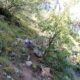 008 Via Ferrata Valdetorno Sabero Rocjumper