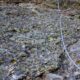 015-via-ferrata-pico-cabron-portilla-reina-rocjumper