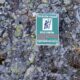 019-via-ferrata-pico-cabron-portilla-reina-rocjumper