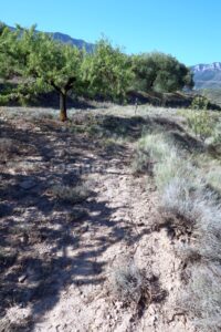 Retorno - Vía Ferrata Confinamiento (Ribafrecha, La Rioja)