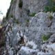 036 Via Ferrata Valdetorno Sabero Rocjumper