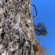 039-via-ferrata-camaleño-llanos-rocjumper
