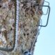 049-via-ferrata-pico-cabron-portilla-reina-rocjumper