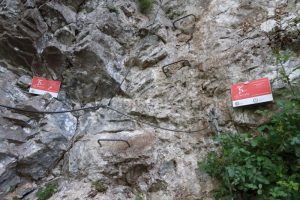 Vertical - Vía Ferrata Beyu - Vidosa Multiaventura - Ponga - RocJumper