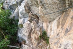 Flanqueo Izquierda - Vía Ferrata Beyu - Vidosa Multiaventura - Ponga - RocJumper