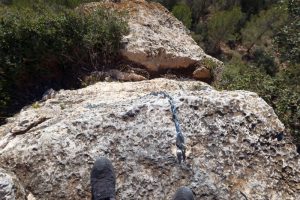 Rápel - Vía Ferrata Ivet La Rabiosa - Rojalons - RocJumper