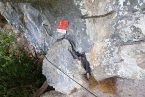 Flanqueo Izquierda - Vía Ferrata Beyu - Vidosa Multiaventura - Ponga - RocJumper