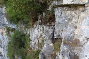 Flanqueo - Vía Ferrata Vidosa - Vidosa Multiaventura - Ponga - RocJumper