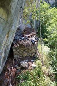 Péndulos - Vía Ferrata Seu de la Paparrasolla - Vidosa Multiaventura - Ponga - RocJumper