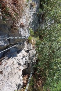 Puente Mono - Vía Ferrata Vidosa - Vidosa Multiaventura - Ponga - RocJumper 