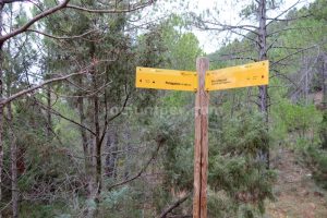 Collado - Barranco Toll de Vidre - Beceite - RocJumper