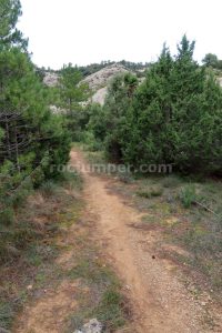 Collado - Barranco Toll de Vidre - Beceite - RocJumper