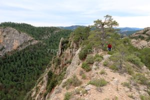 Loma - Barranco Toll de Vidre - Beceite - RocJumper