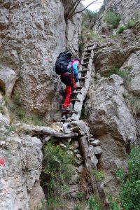 Escarrisó de Barretes - Barranc de Cova Pintada por Barranc dels Toll Brossa - Mas Barberans - RocJumper