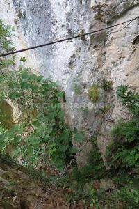 Puente mono de cadena - Vía Ferrata El Milar - La Hermida - RocJumper