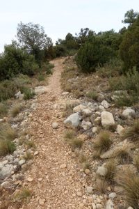 Cima - Barranco Toll de Vidre - Beceite - RocJumper