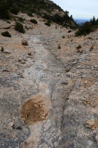 Lecho Barranco - Barranco Toll de Vidre - Beceite - RocJumper