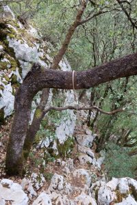 Cuerda fija - Vía Ferrata Escalera al Cielo - La Hermida - RocJumper