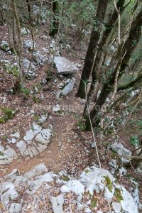 Cuerda Fija - Vía Ferrata Escalera al Cielo/Peñarruscos - La Hermida - RocJumper