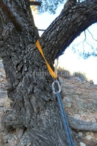 Rápel árbol - Canal de Ballestera - Arnes - RocJumper