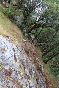 Retorno Variante Puentes - Vía Ferrata La Hermida - RocJumper